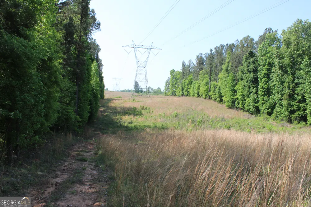 0 Hwy 87 Tract 2 Forsyth, GA 31029