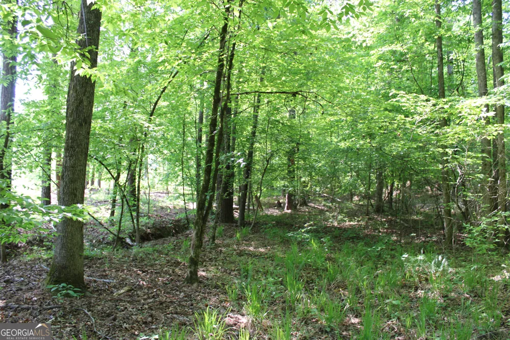 0 Hwy 87 Tract 2 Forsyth, GA 31029