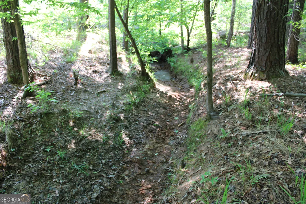 0 Hwy 87 Tract 2 Forsyth, GA 31029