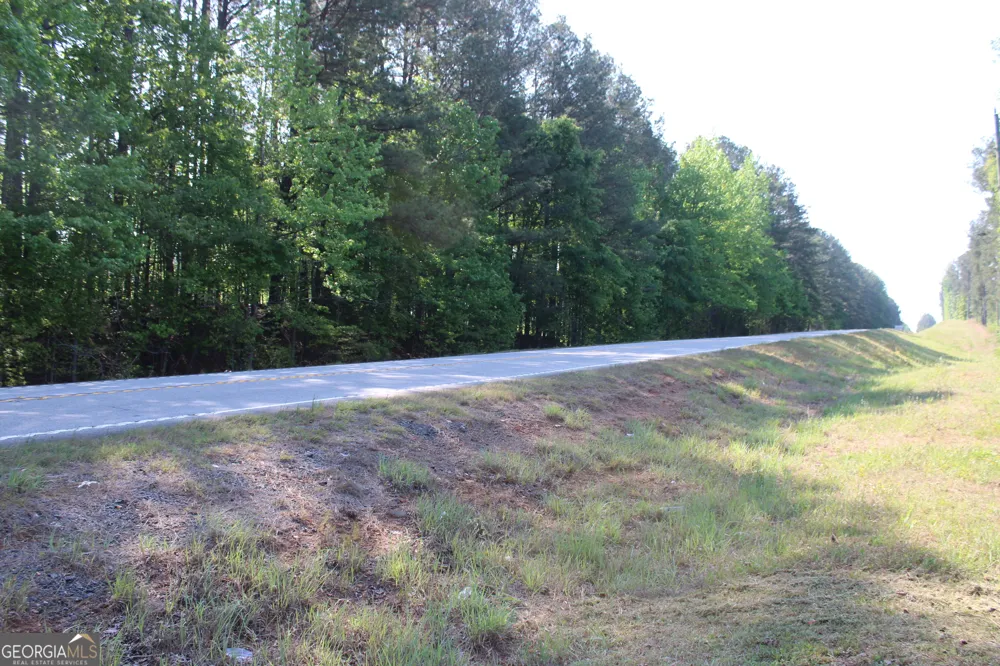 0 Hwy 87 Tract 2 Forsyth, GA 31029