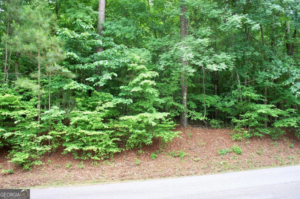 1390 Northwoods DR Greensboro, GA 30642