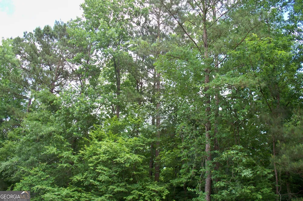 1390 Northwoods DR Greensboro, GA 30642