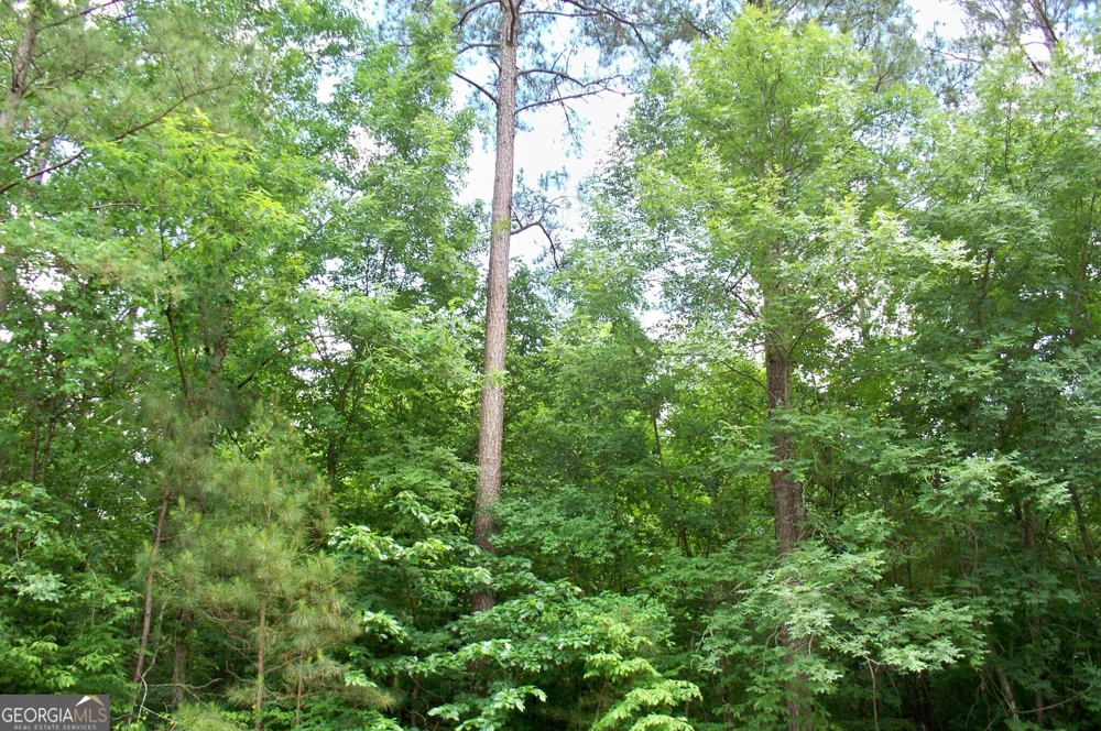 1390 Northwoods DR Greensboro, GA 30642