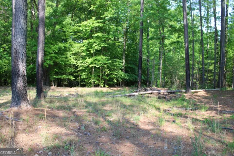 0 Hwy 87 Tract 3