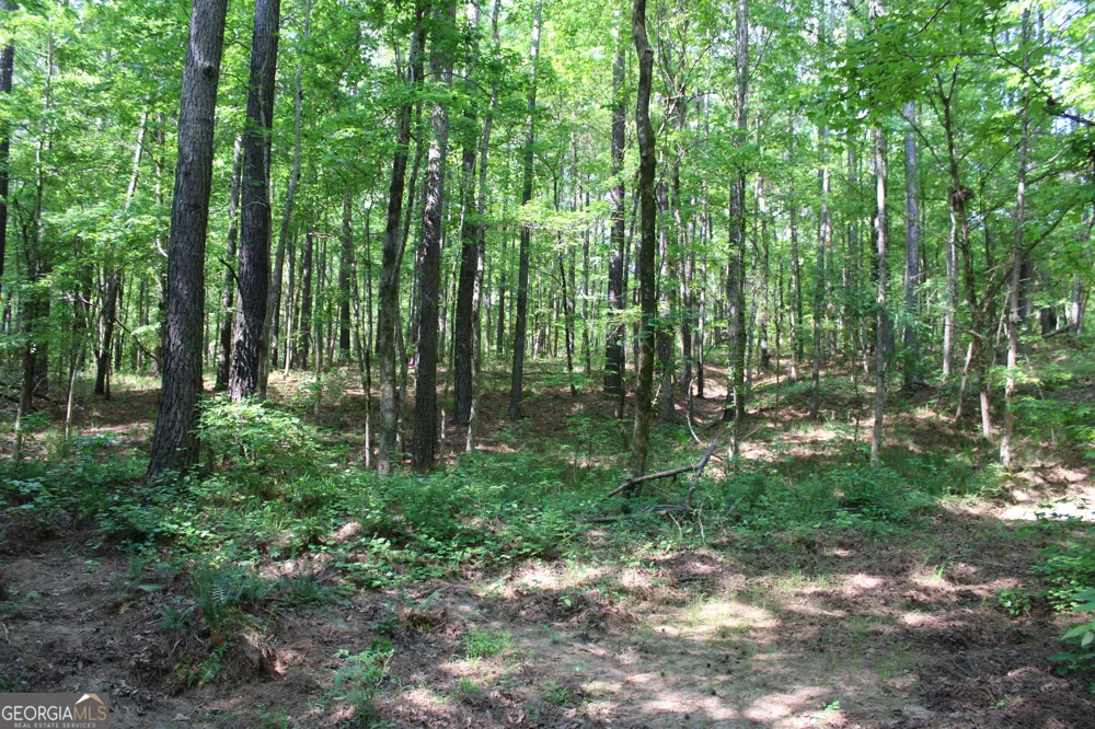0 Hwy 87 Tract 3 Forsyth, GA 31029