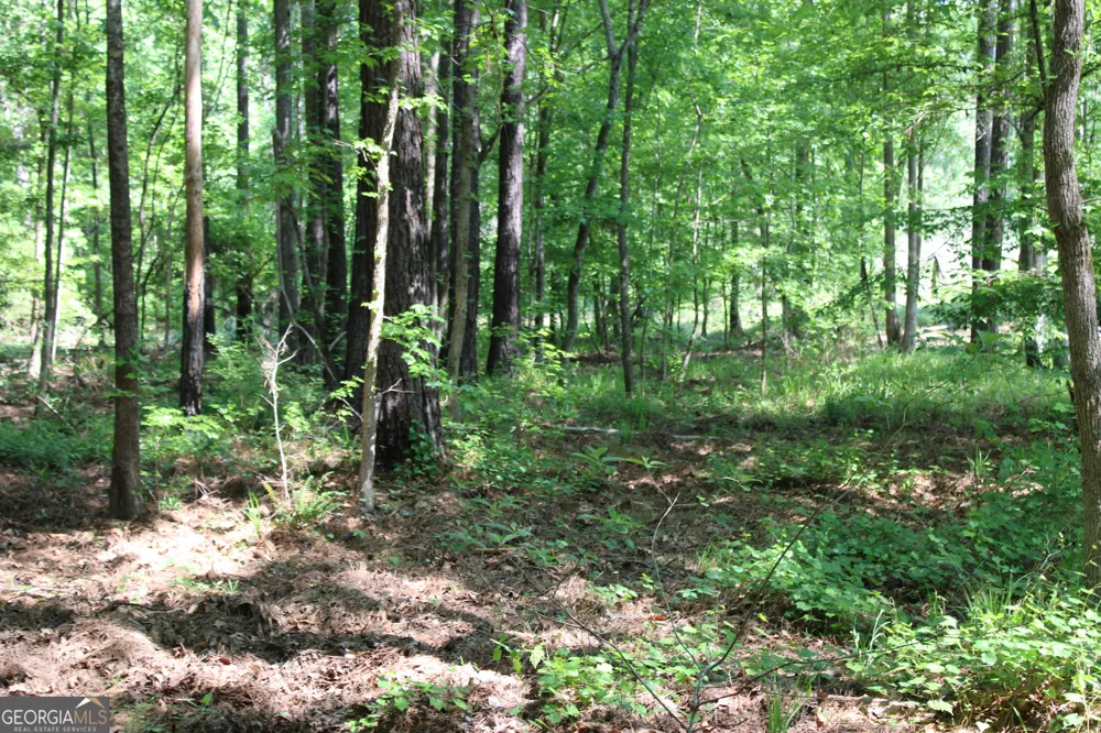 0 Hwy 87 Tract 3 Forsyth, GA 31029