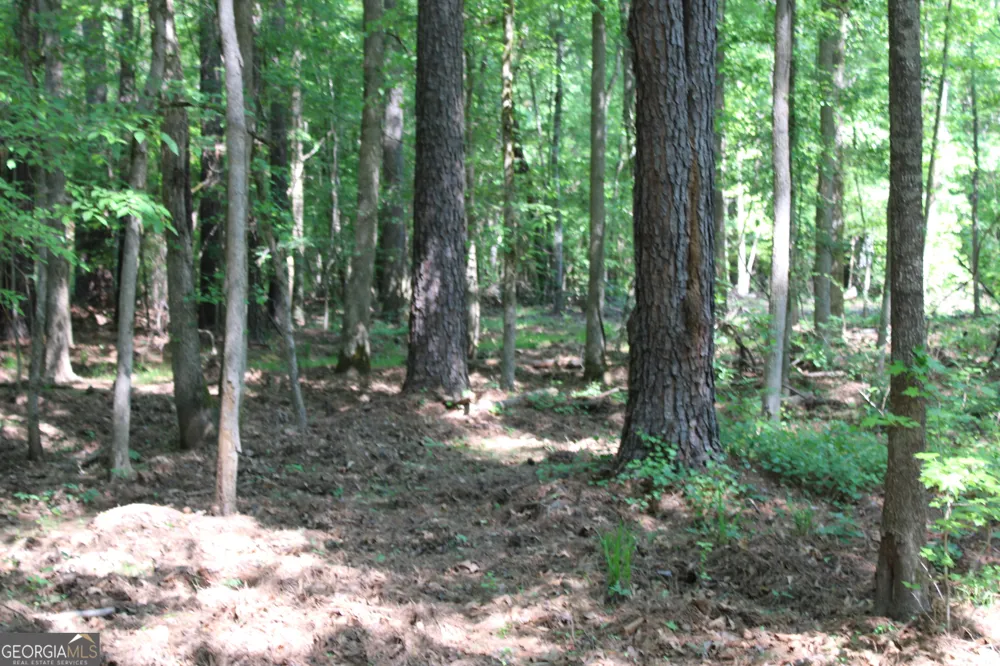 0 Hwy 87 Tract 3 Forsyth, GA 31029