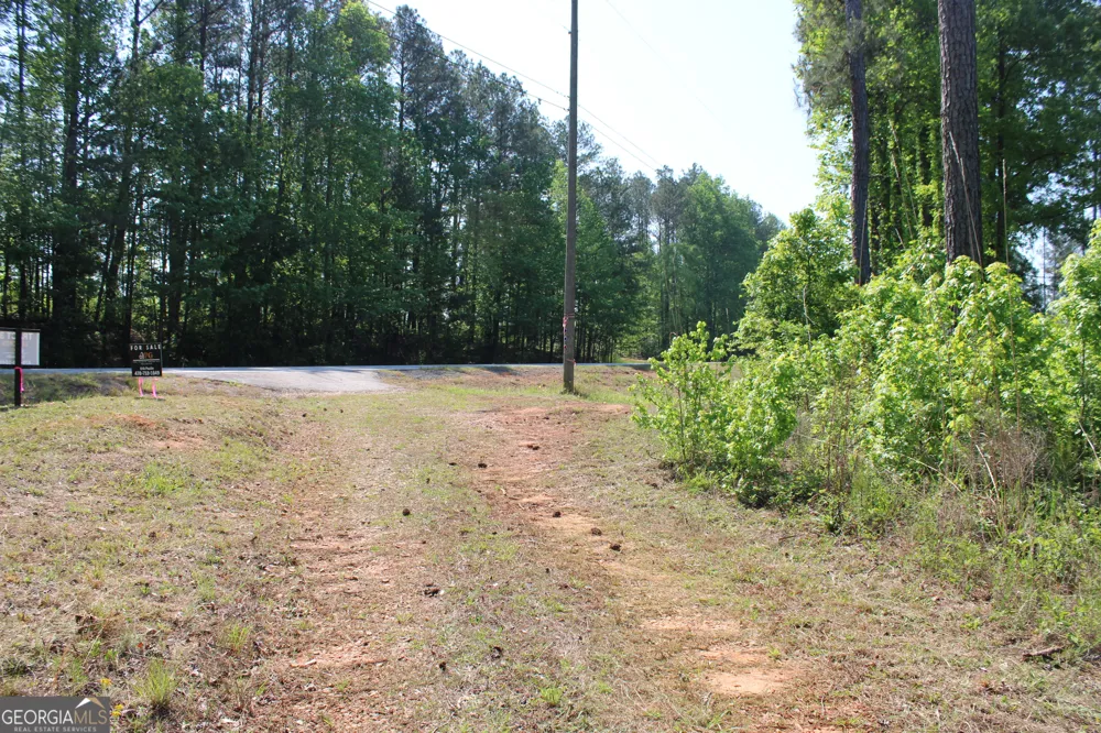 0 Hwy 87 Tract 3 Forsyth, GA 31029
