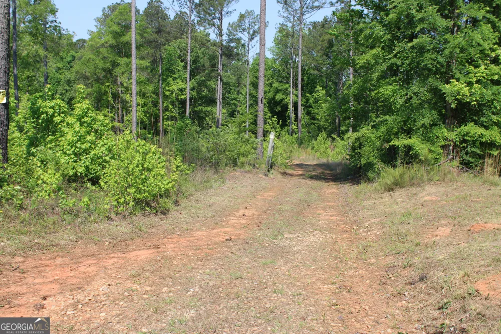 0 Hwy 87 Tract 3 Forsyth, GA 31029