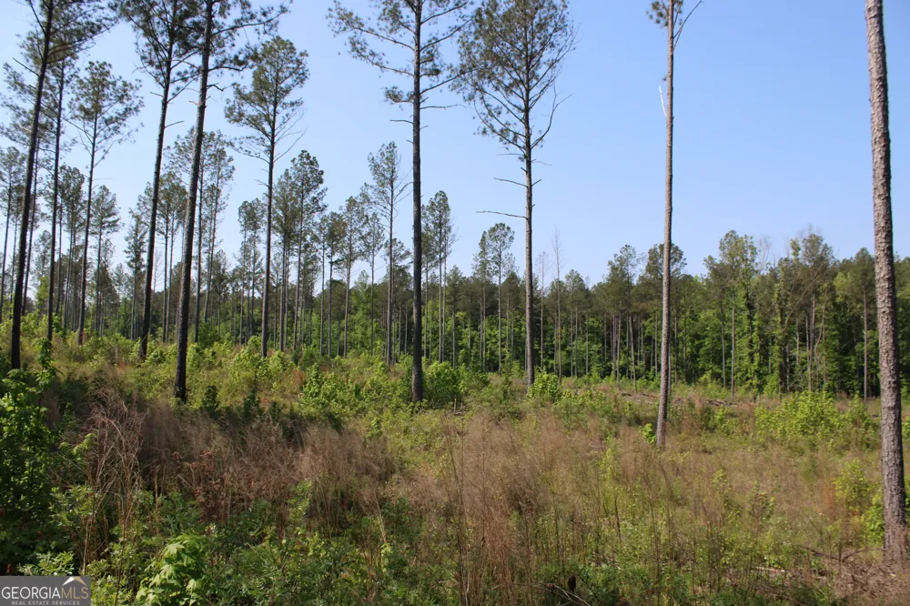 0 Hwy 87 Tract 3 Forsyth, GA 31029