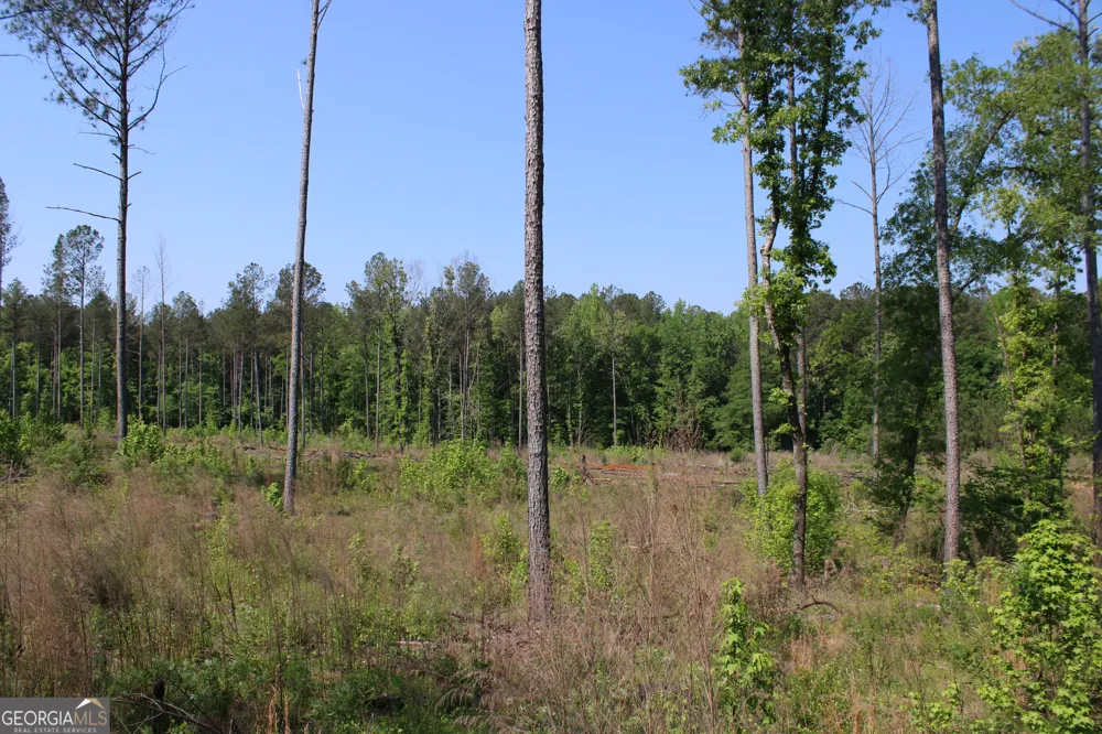 0 Hwy 87 Tract 3 Forsyth, GA 31029