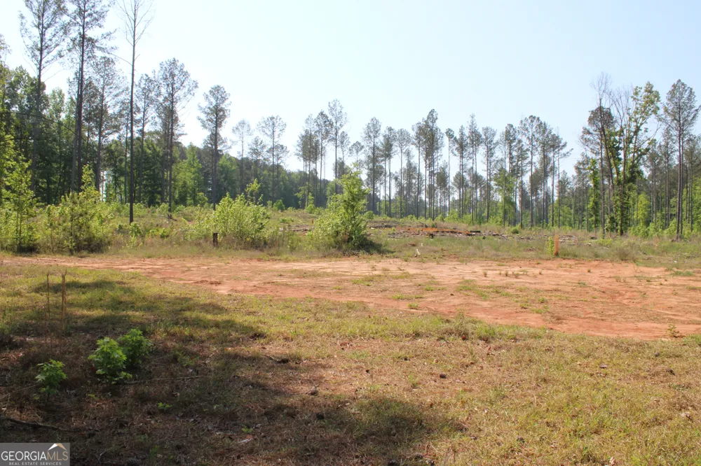0 Hwy 87 Tract 3 Forsyth, GA 31029