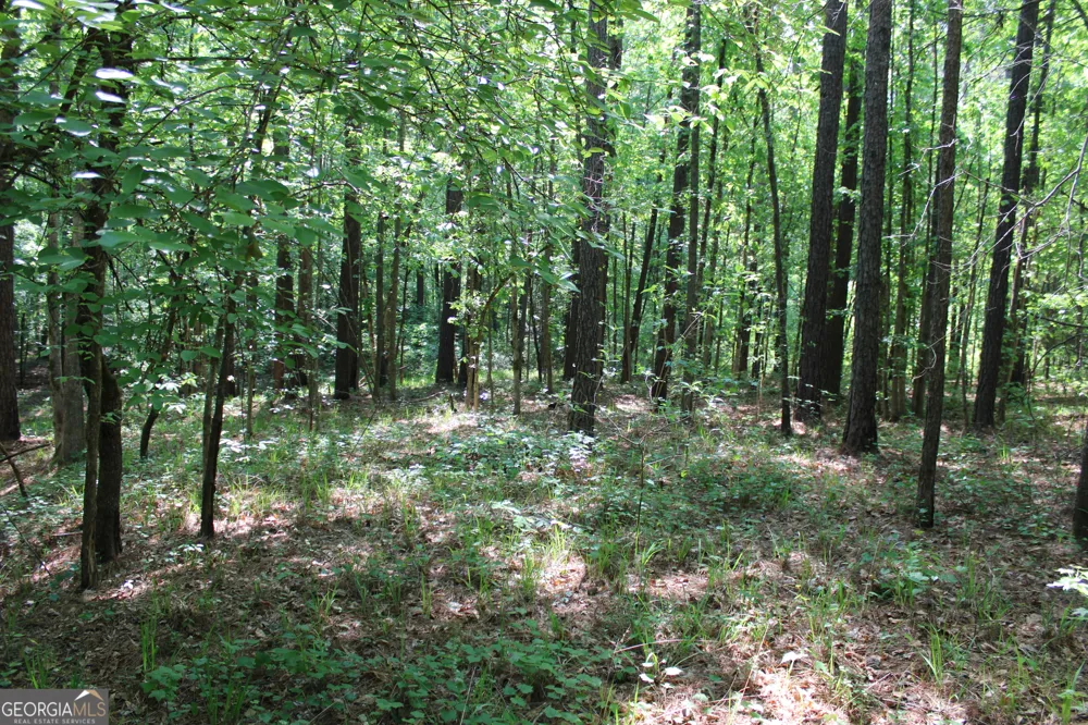 0 Hwy 87 Tract 3 Forsyth, GA 31029