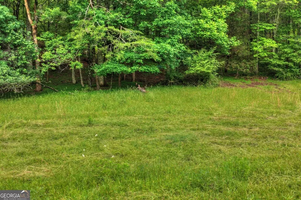 20.11 AC Mountain View RD McCaysville, GA 30555