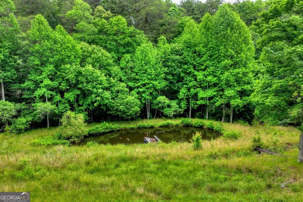 20.11 AC Mountain View RD McCaysville, GA 30555