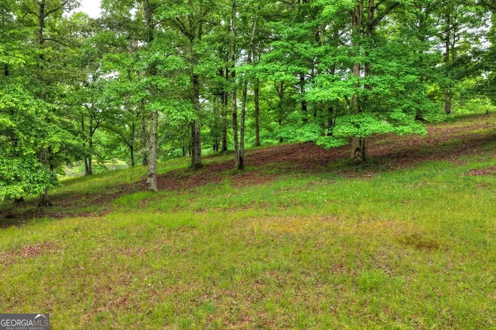 20.11 AC Mountain View RD McCaysville, GA 30555