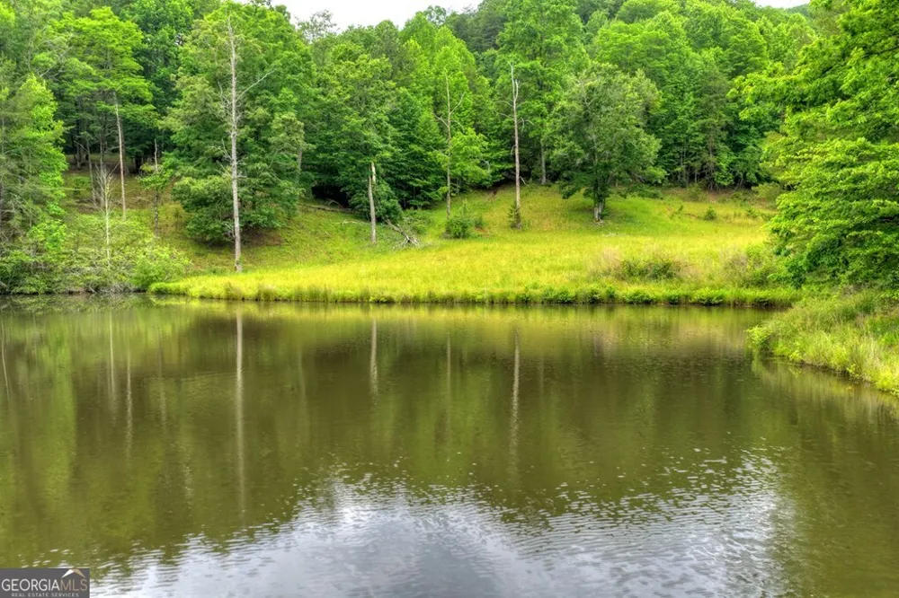 20.11 AC Mountain View RD McCaysville, GA 30555