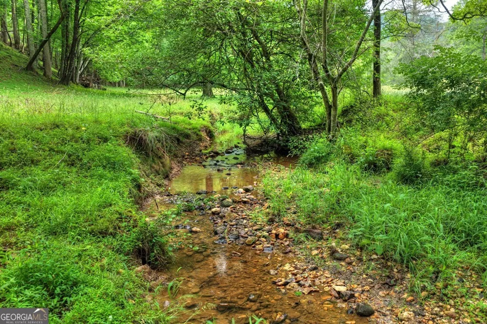 20.11 AC Mountain View RD McCaysville, GA 30555