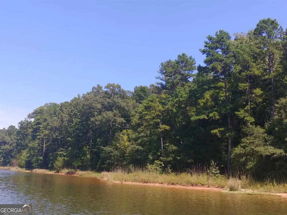 LOT 24 Patriots PT Elberton, GA 30635