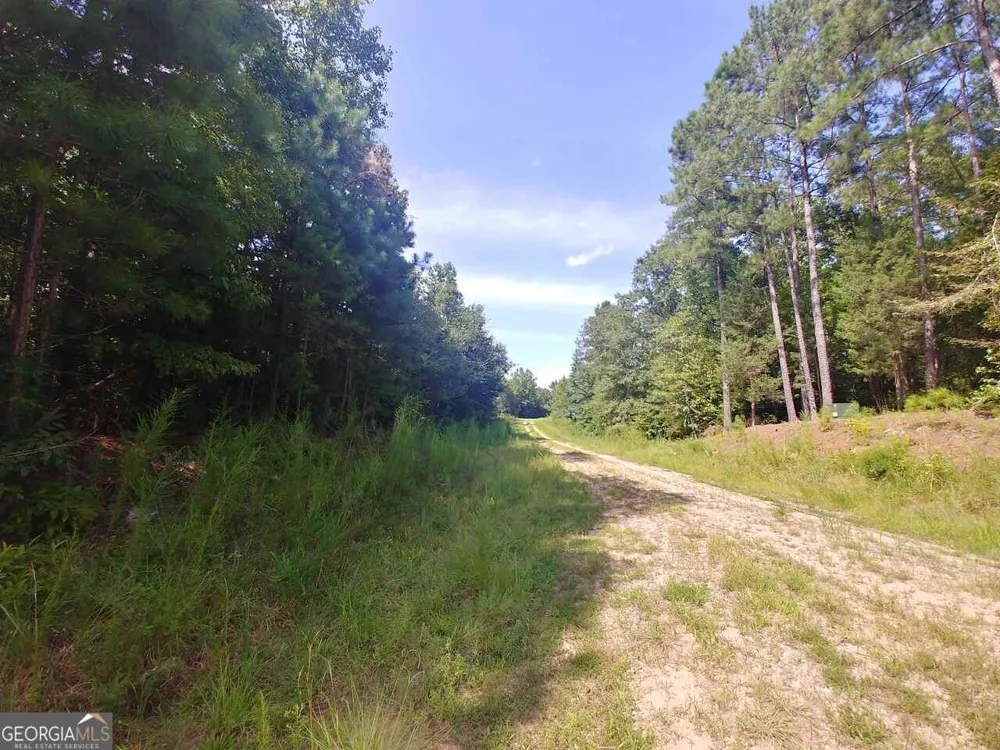 LOT 24 Patriots PT Elberton, GA 30635