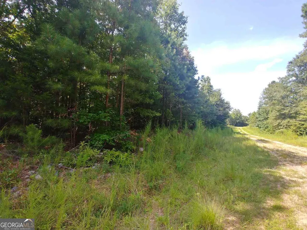 LOT 24 Patriots PT Elberton, GA 30635