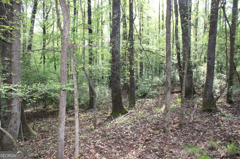 0 Ruffner RD Barnesville, GA 30204