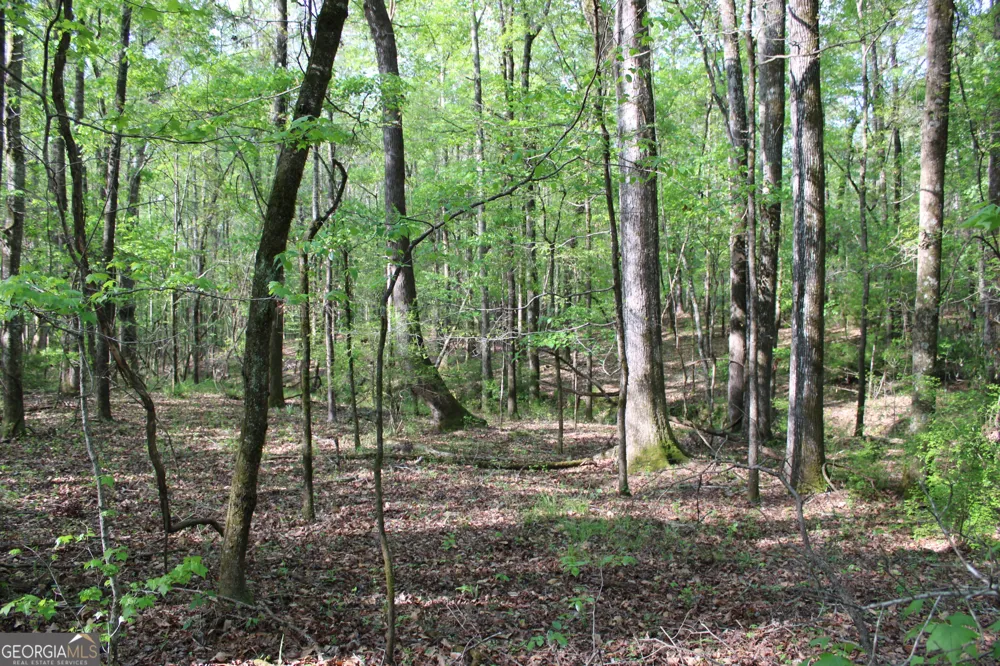 0 Ruffner RD Barnesville, GA 30204