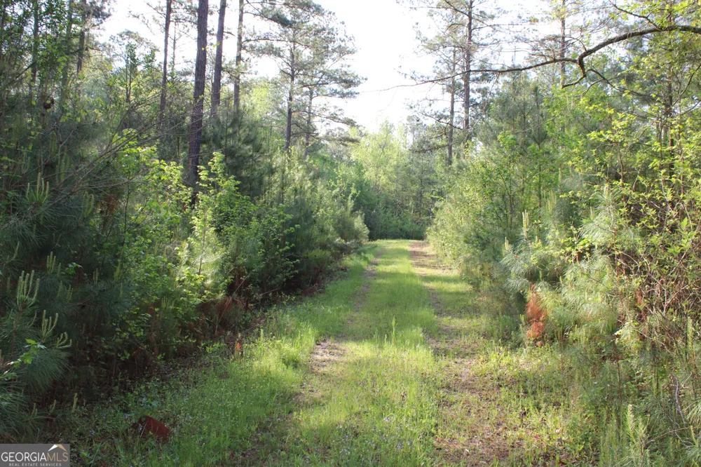 0 Ruffner RD Barnesville, GA 30204
