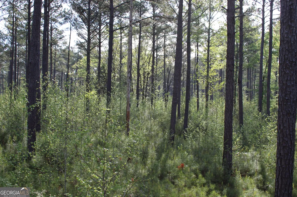 0 Ruffner RD Barnesville, GA 30204