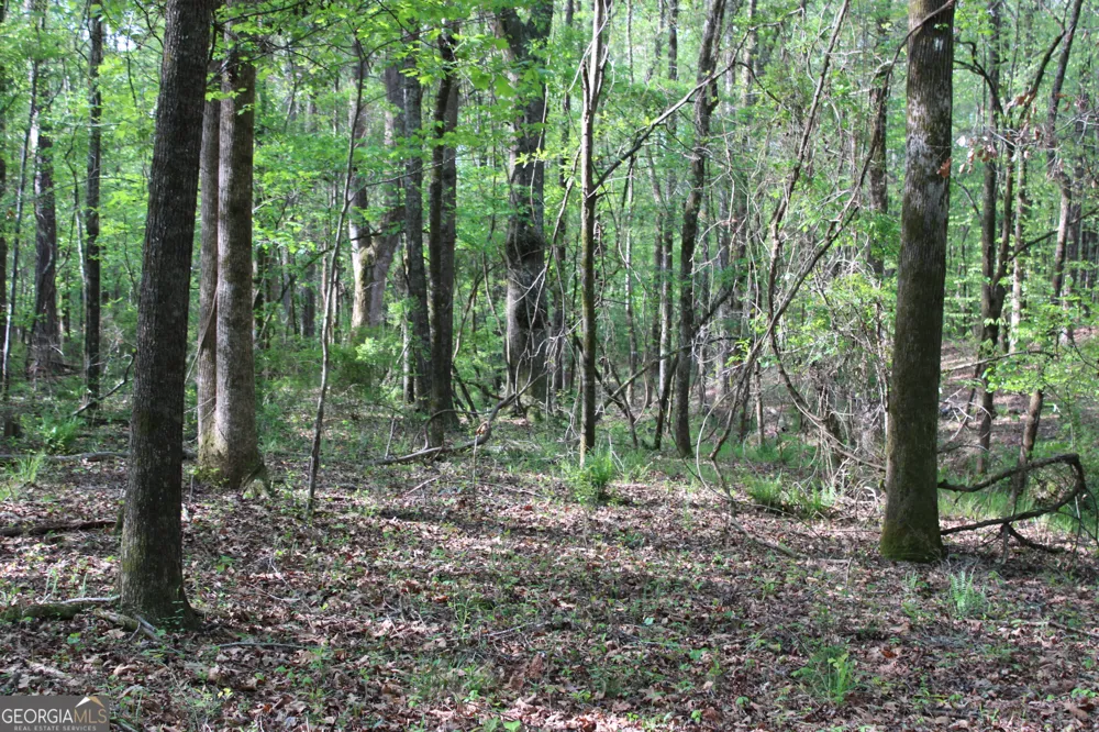 0 Ruffner RD Barnesville, GA 30204