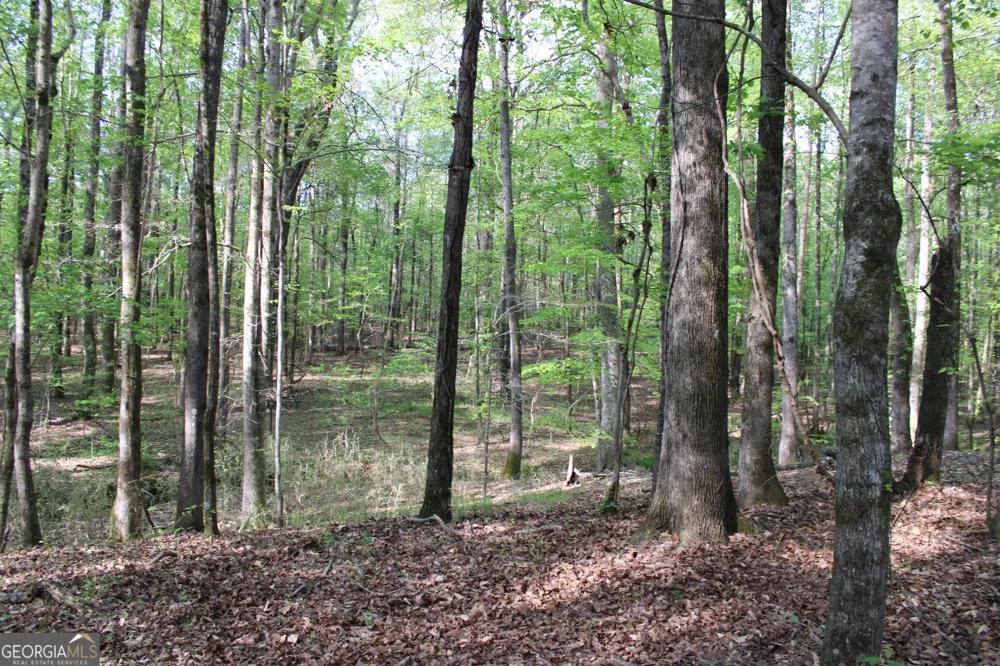 0 Ruffner RD Barnesville, GA 30204