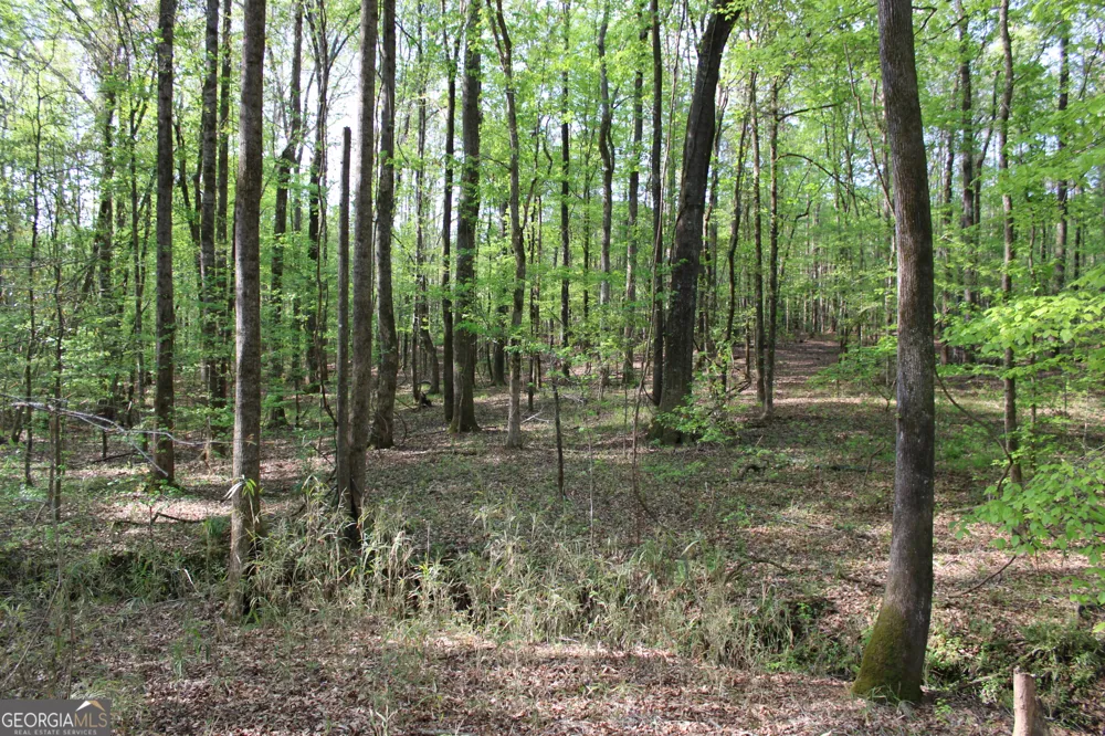 0 Ruffner RD Barnesville, GA 30204