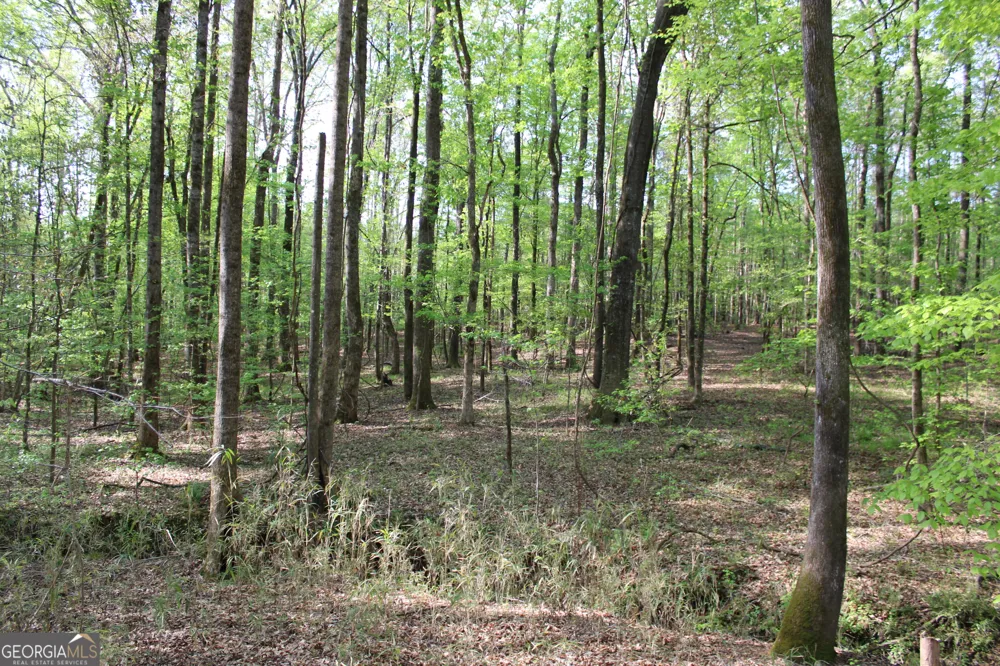 0 Ruffner RD Barnesville, GA 30204