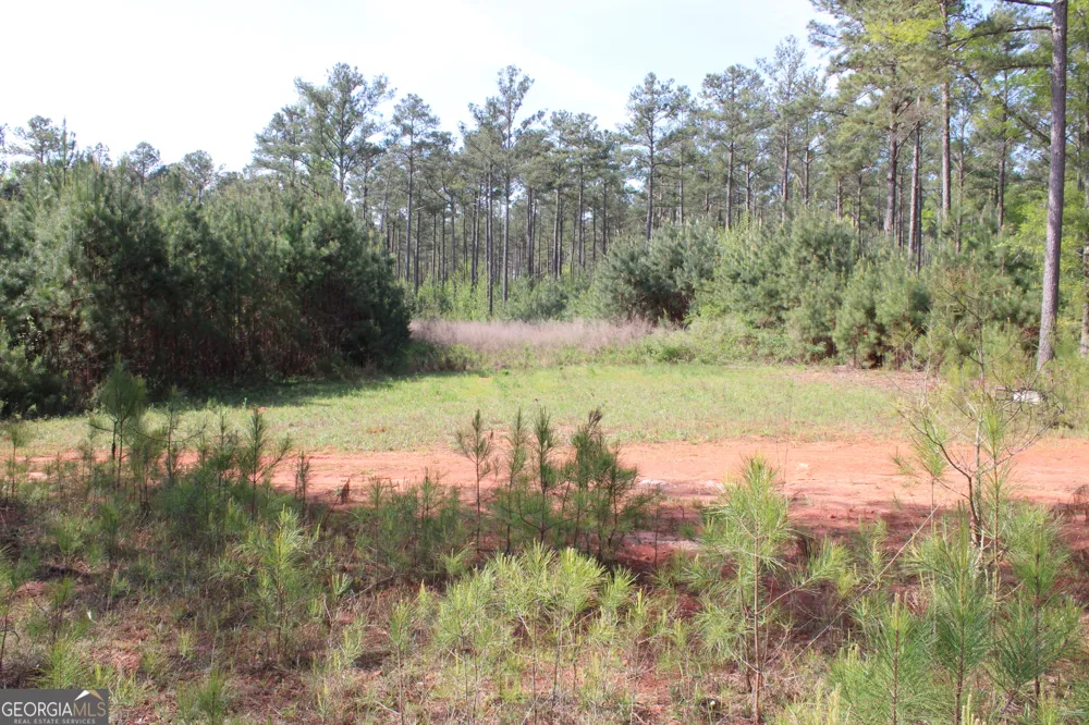 0 Ruffner RD Barnesville, GA 30204