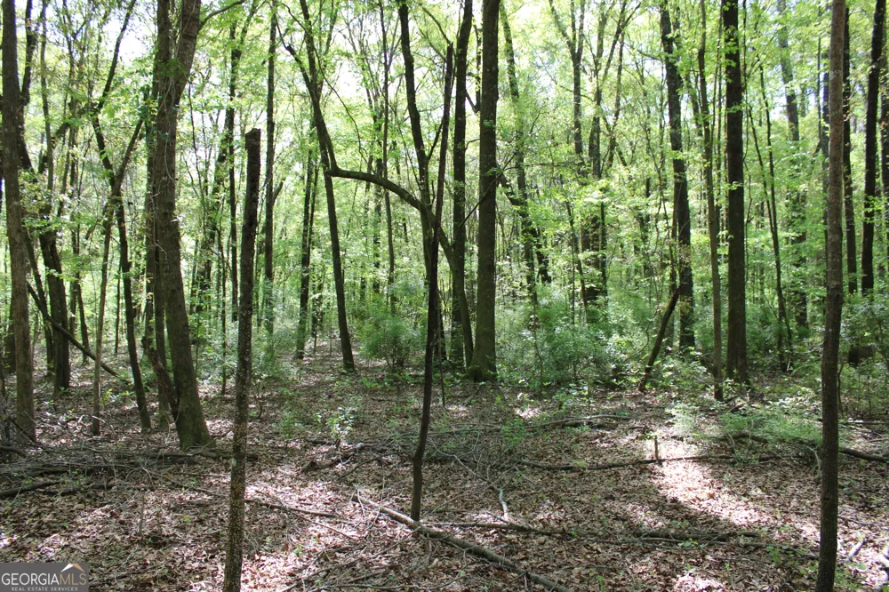 0 Ruffner RD Barnesville, GA 30204