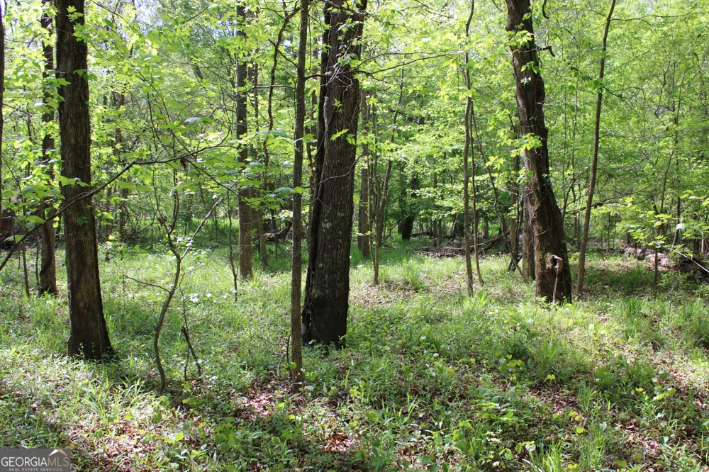 0 Ruffner RD Barnesville, GA 30204