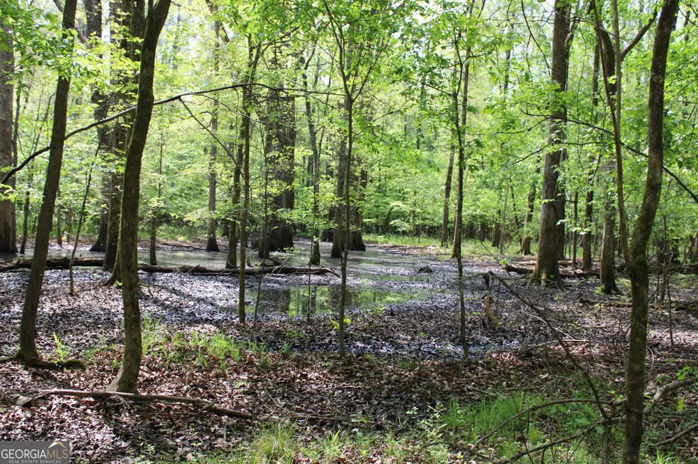 0 Ruffner RD Barnesville, GA 30204