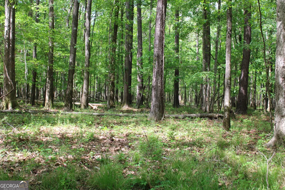 0 Ruffner RD Barnesville, GA 30204