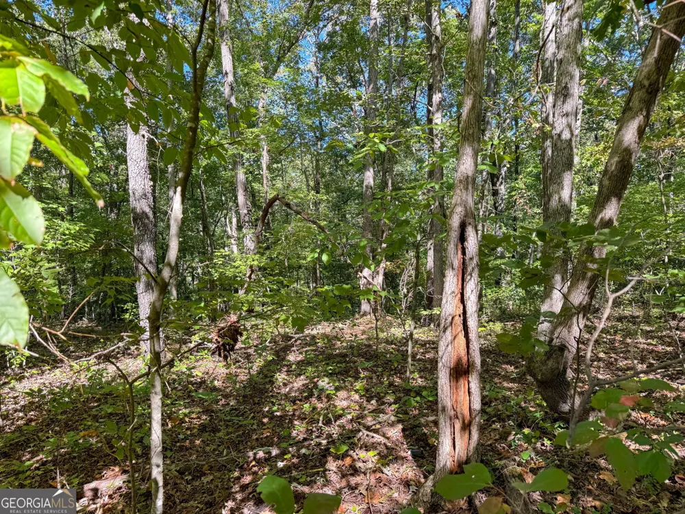 0 (Barrington Subd) 16 Approved Covington, GA 30016