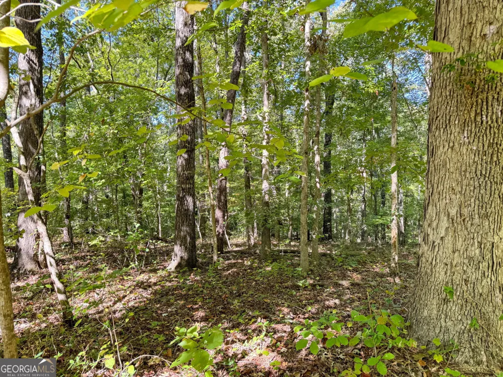 0 (Barrington Subd) 16 Approved Covington, GA 30016