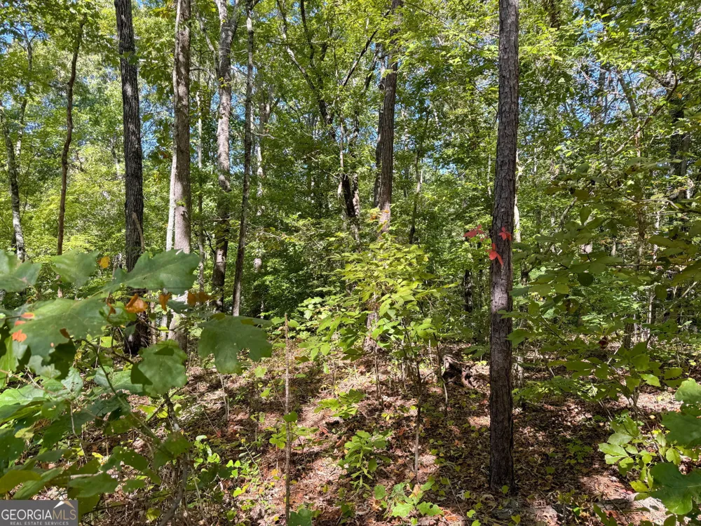 0 (Barrington Subd) 16 Approved Covington, GA 30016