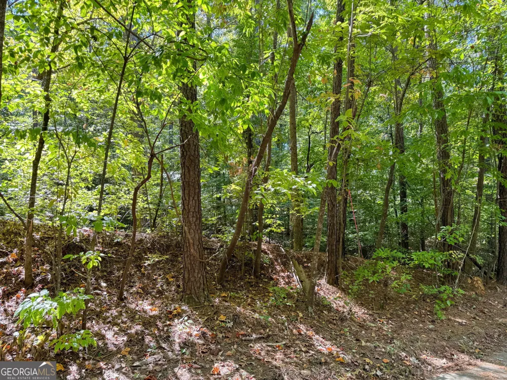 0 (Barrington Subd) 16 Approved Covington, GA 30016