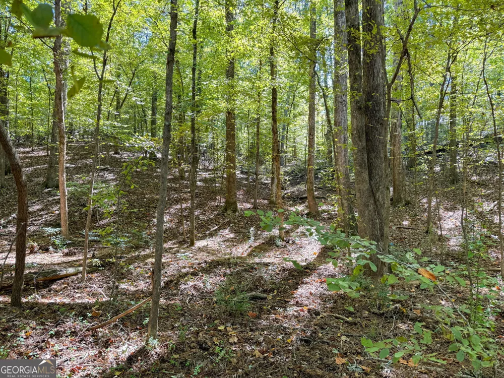 0 (Barrington Subd) 16 Approved Covington, GA 30016