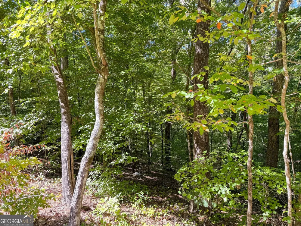 0 (Barrington Subd) 16 Approved Covington, GA 30016