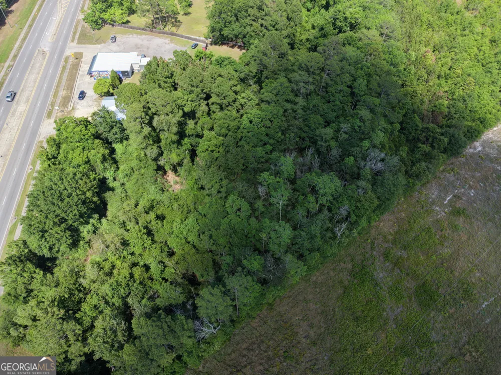 0 US HWY 84 Jesup, GA 31545