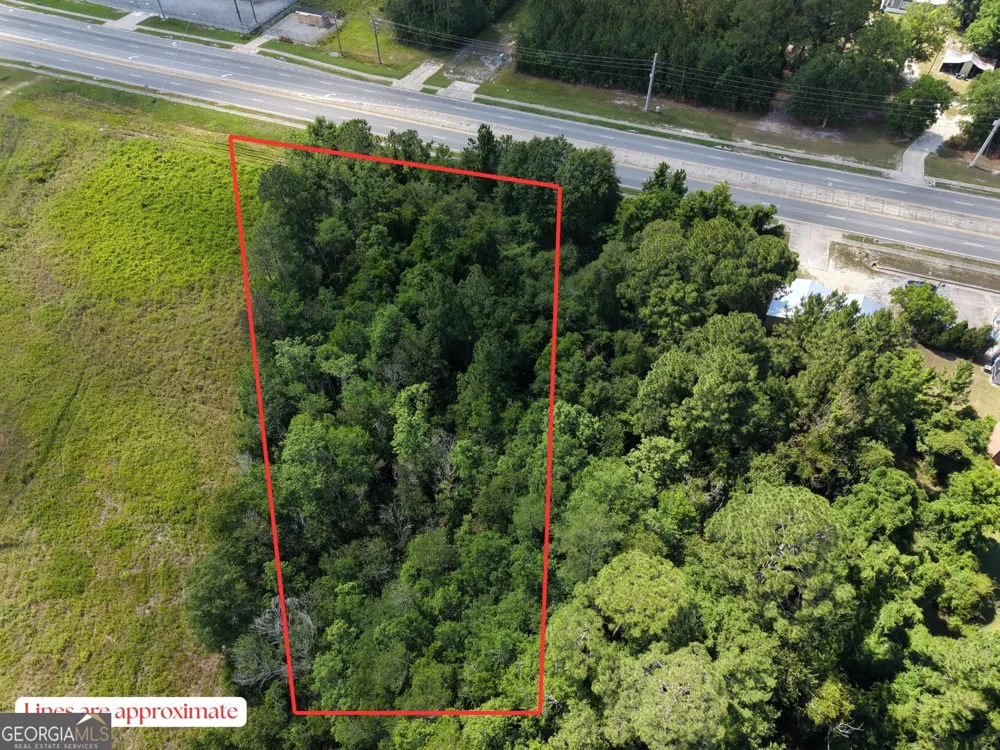 0 US HWY 84 Jesup, GA 31545