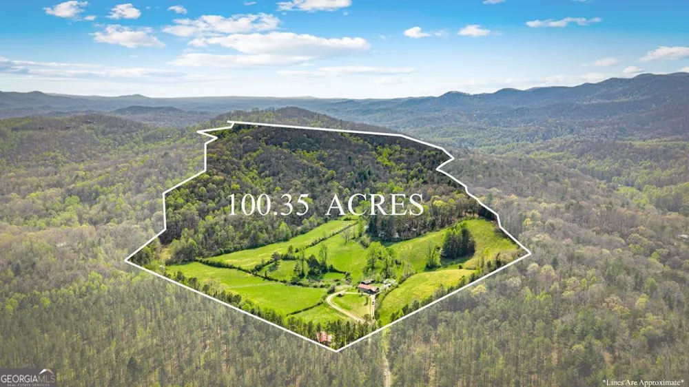 384 Maxwell RD Blue Ridge, GA 30513