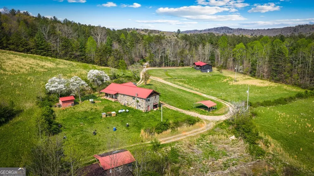 384 Maxwell RD Blue Ridge, GA 30513