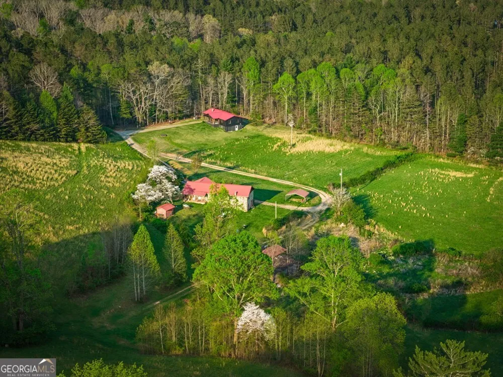 384 Maxwell RD Blue Ridge, GA 30513