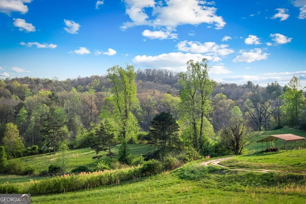 384 Maxwell RD Blue Ridge, GA 30513